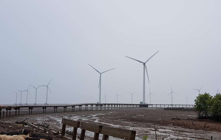 Phó Thủ tướng thị sát, đôn đốc ứng phó bão tại Bạc Liêu ảnh 1