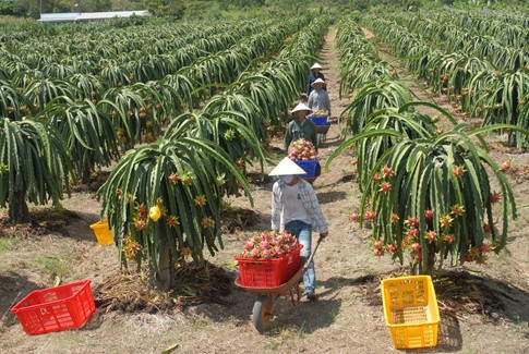 Năm 2017: Năm của những kỷ lục kinh tế ảnh 1