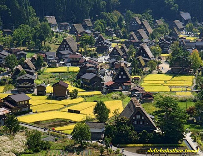 Lạc vào xứ cổ tích tại ngôi làng tí hon ngọt ngào ảnh 3