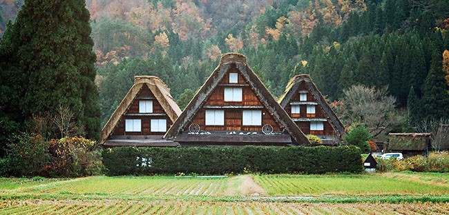 Lạc vào xứ cổ tích tại ngôi làng tí hon ngọt ngào ảnh 5