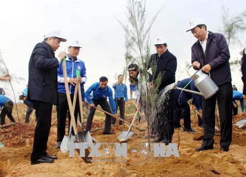 Tết trồng cây đã trở thành nét đẹp văn hóa của đất nước ảnh 1