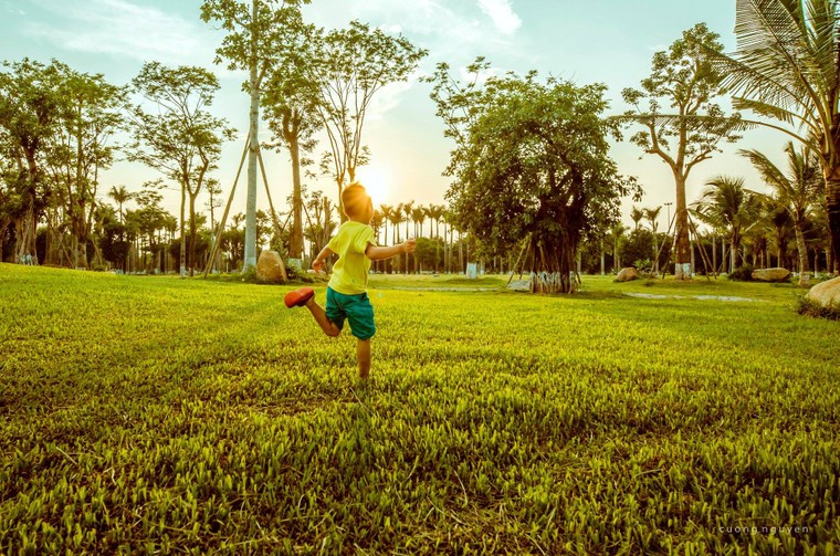 Chiêm ngưỡng khu đô thị phức hợp tốt nhất Việt Nam ảnh 7