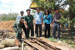 Đồng Nai - Chăm lo tốt cho người có công với cách mạng ảnh 1