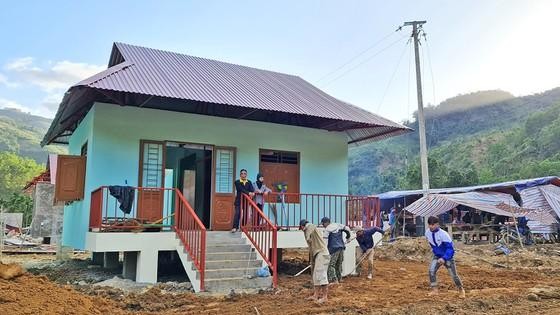 Ông Đoàn Ngọc Hải, xin hãy bình tĩnh ảnh 1