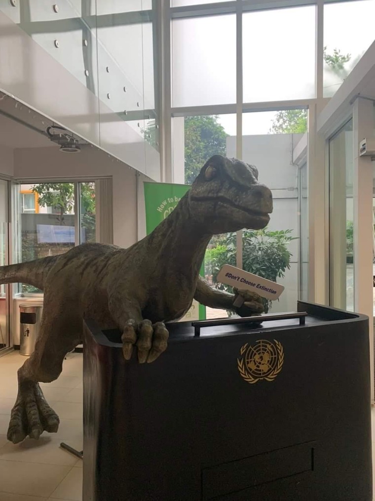 Trải nghiệm Toà nhà xanh Liên Hợp Quốc ảnh 8