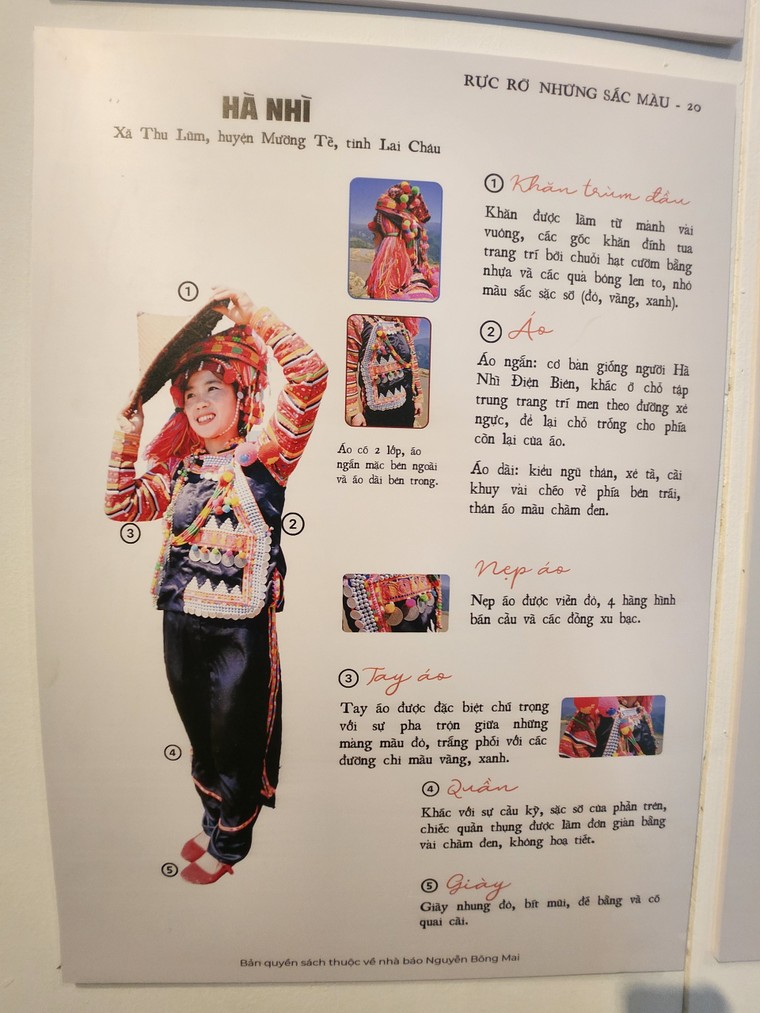 Triển lãm 'Dám sống một cuộc đời rực rỡ': bản phác thảo đầu tiên về hành trình văn hóa và tình người ảnh 13