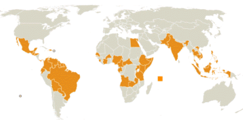 Chàng trai 20 tuổi nhiễm virus Zika do quan hệ tình dục ảnh 1