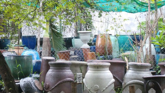 Thai phụ nhiễm Zika tại TP.HCM đã sinh con ảnh 1