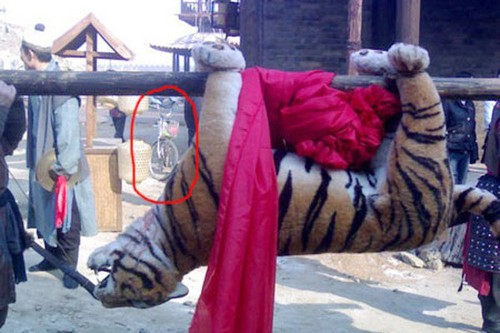 Các lỗi quen thuộc trong phim cổ trang Hoa ngữ ảnh 4