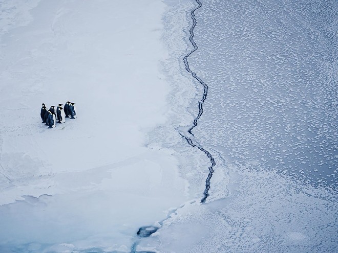 Nguy cơ tuyệt chủng từ biến đổi khí hậu ảnh 1