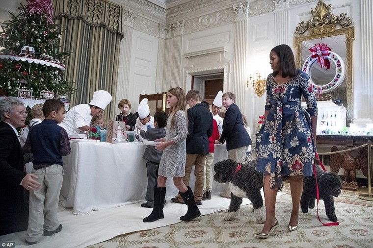 Nhà Trắng rộn ràng Giáng sinh cuối cùng của gia đình Obama ảnh 11