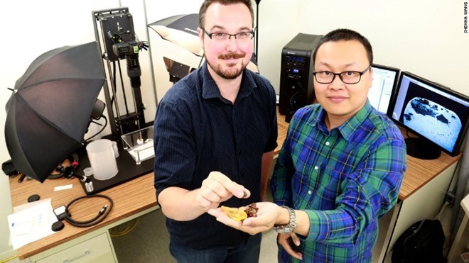 Phát hiện đuôi khủng long 99 triệu năm trong hổ phách ảnh 1