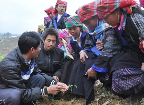 Xuân tới có khác xuân này? ảnh 2