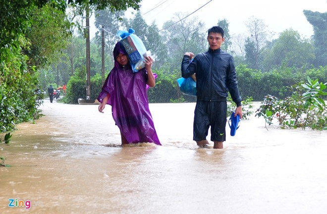 7 người đu nhánh tre, cây bạch đàn chống chọi lũ dữ ảnh 1