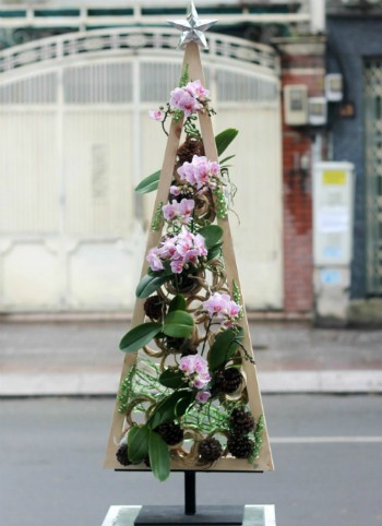 Thông 'lạ' hút khách mùa Noel ảnh 1