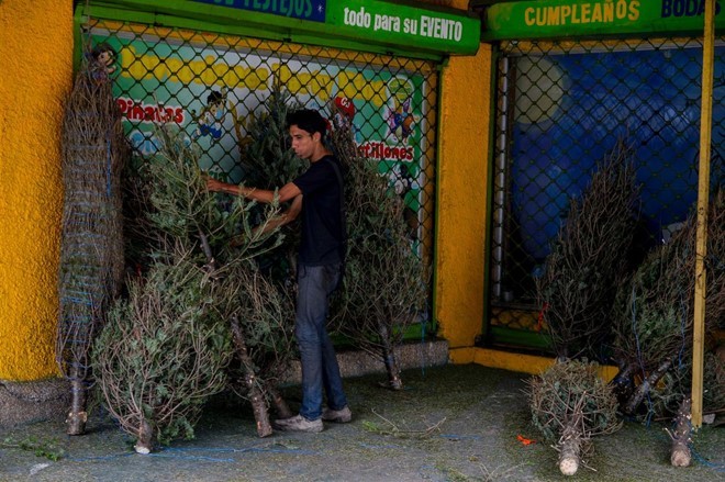 Giáng sinh buồn nhất của người Venezuela ảnh 1