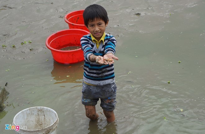 Lội bùn thu hoạch cá chép trước ngày ông Táo về trời ảnh 4