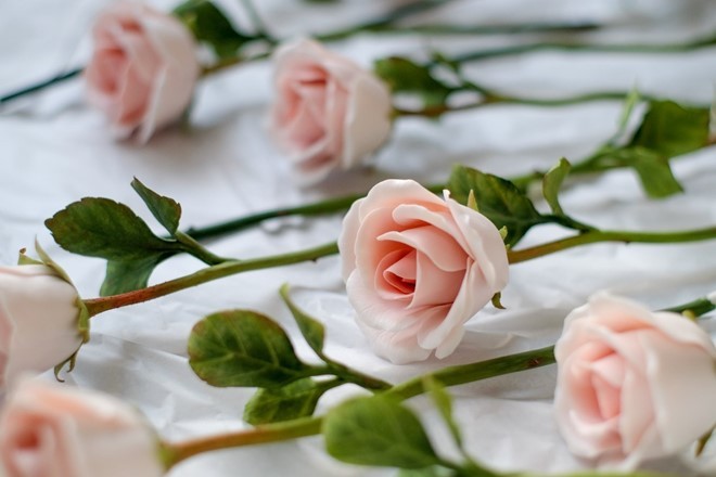 Hoa hồng sứ - quà tặng độc đáo cho dịp 8/3 ảnh 5