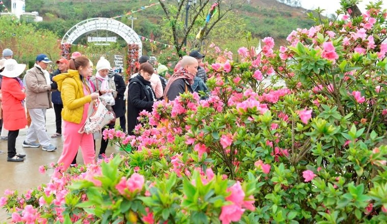 Sun World Fansipan Legend: Đỗ quyên Hoàng Liên đã vào mùa ảnh 1