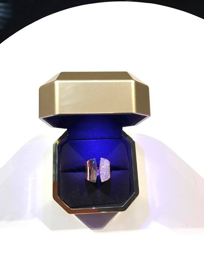 Đàm Vĩnh Hưng khoe nhẫn kim cương được Dương Triệu Vũ tặng ảnh 1