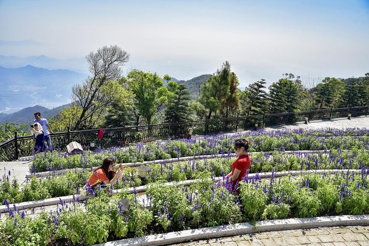 Lạc thiên đường muôn sắc hoa Sun World Ba Na Hills ảnh 9