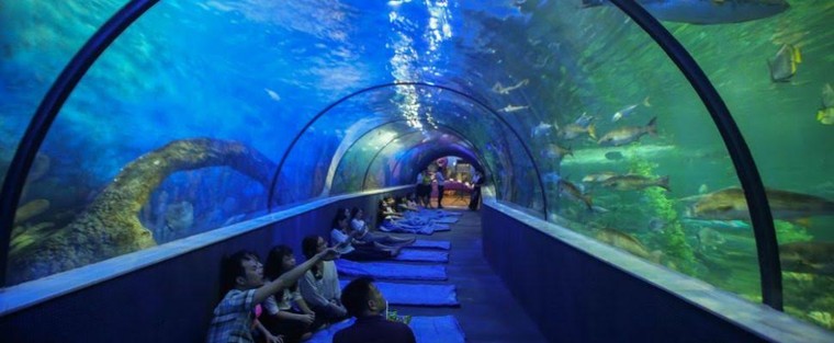 Du lịch trong lòng thành phố ảnh 4