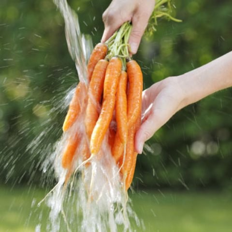 19 sai lầm nghiêm trọng khi xào nấu, ăn rau xanh ảnh 1