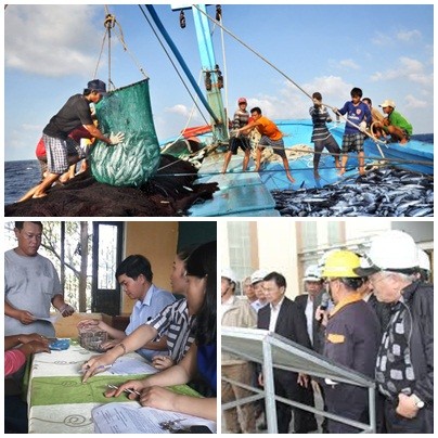 Quyết liệt giải quyết sự cố môi trường biển 4 tỉnh miền Trung ảnh 1