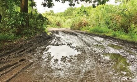 Tận thấy núi đá vịnh Hạ Long bị “xẻ thịt” ảnh 1