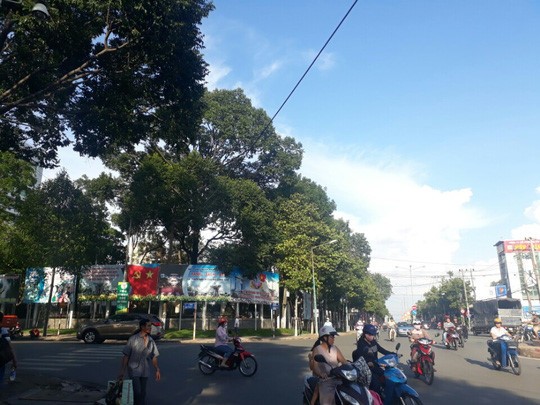 Hé lộ về người phụ nữ mua 4 trụ sở công ở Bình Dương ảnh 2