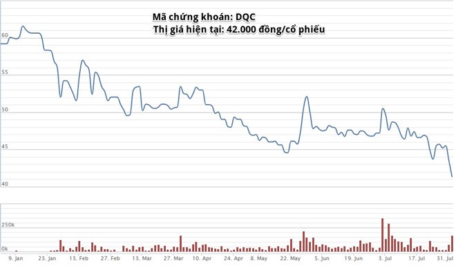 Tài sản gia đình bà Hồ Thị Kim Thoa ‘bốc hơi’ hàng triệu đô ảnh 1