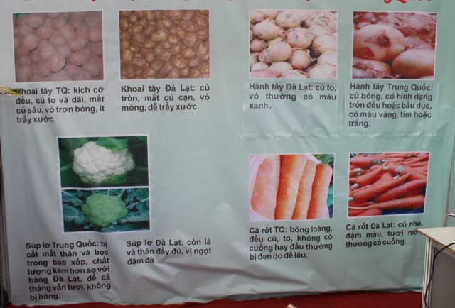 Đà Lạt nhập trên 100 tấn khoai tây Trung Quốc ảnh 1