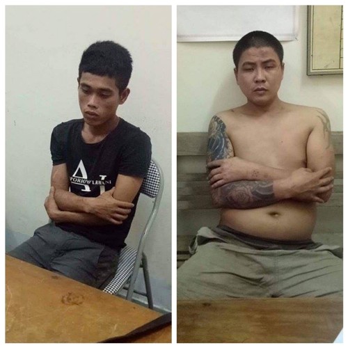 Hà Tĩnh: Đi ô tô vào làng để trộm chó ảnh 1