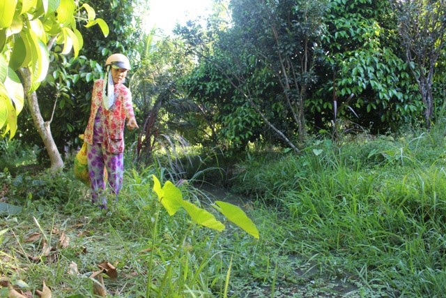 Nam sinh lớp 12 hiếp và giết bé gái 10 tuổi lãnh 30 năm tù giam ảnh 2