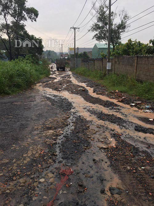 Vụ cụ bà “đội mưa vá đường“: Cán bộ phường nói gì? ảnh 2