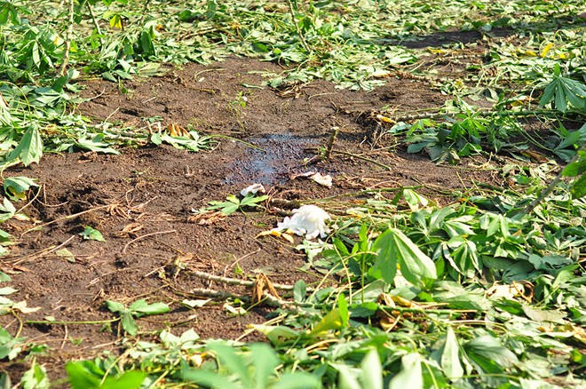 Nghi can nổ súng sát hại nữ sinh lớp 11 rồi tự sát do mâu thuẫn tình cảm ảnh 1