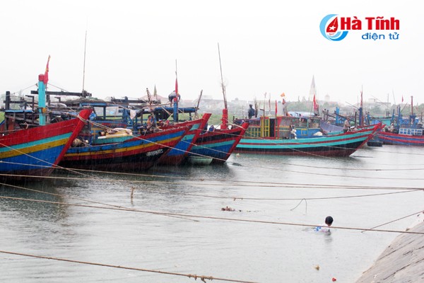 Nghệ An và Hà Tĩnh hối hả di dân, phòng chống bão số 10 ảnh 5