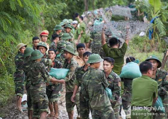 Huy động hơn 600 người hộ đê sông Vinh ảnh 1