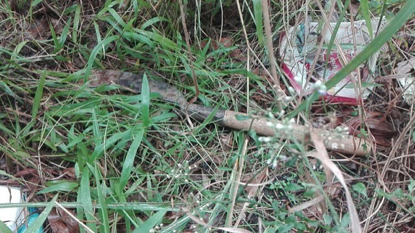 Khởi tố, bắt tạm giam chủ xe kéo chém tài xế ở BOT Cai Lậy ảnh 2