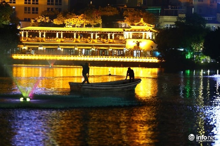 Bầy thiên nga thả thử nghiệm trên hồ Gươm nhanh chóng 'chuyển nhà' ảnh 7