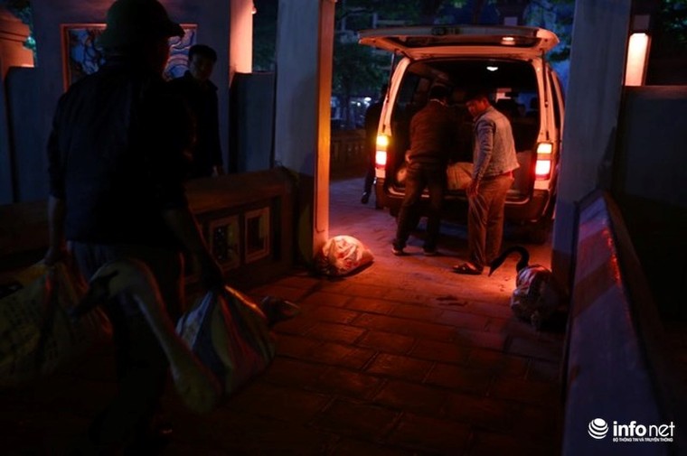 Bầy thiên nga thả thử nghiệm trên hồ Gươm nhanh chóng 'chuyển nhà' ảnh 9