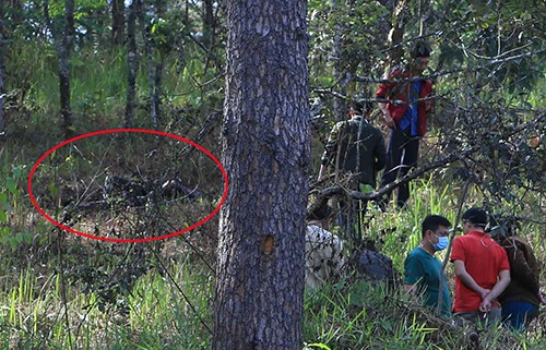 Đà Lạt: Phát hiện thi thể nữ cháy đen trên đồi thông bên cạnh thư tuyệt mệnh ảnh 1