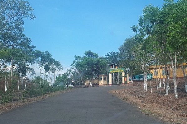 Đình chỉ 4 cán bộ biên phòng liên quan đến vụ Phượng 'râu' ảnh 1