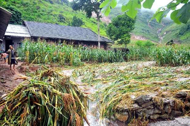 Hai tỉnh Hà Giang, Lai Châu thiệt hại hàng trăm tỷ đồng do mưa lũ ảnh 5