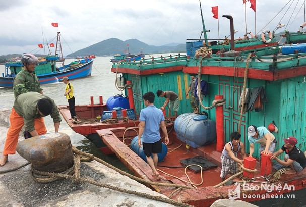 Người dân thị xã Cửa Lò hối hả chống bão số 3 ảnh 2