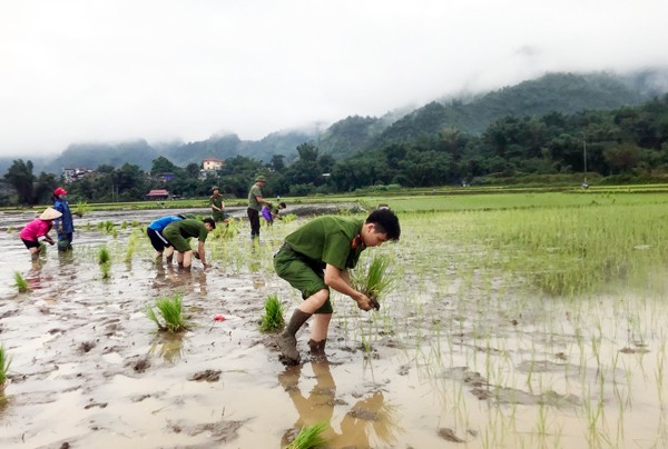 Sơn La, Lào Cai, Yên Bái nỗ lực khắc phục hậu quả mưa lũ ảnh 2