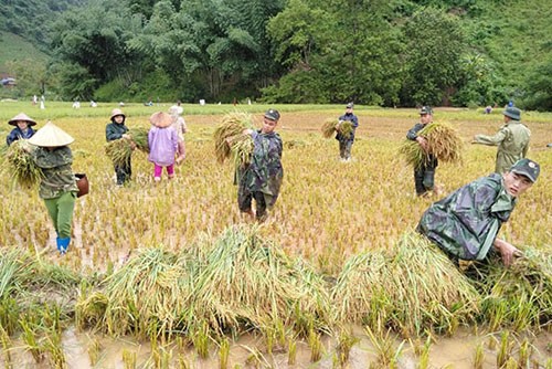 Sơn La, Lào Cai, Yên Bái nỗ lực khắc phục hậu quả mưa lũ ảnh 1