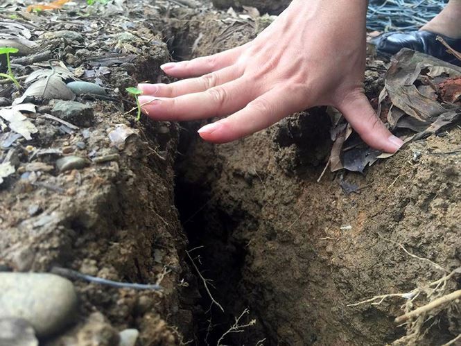 Thủy điện Hòa Bình và Sơn La mở cửa xả đáy, cảnh báo sạt lở đất vùng hạ lưu ảnh 3