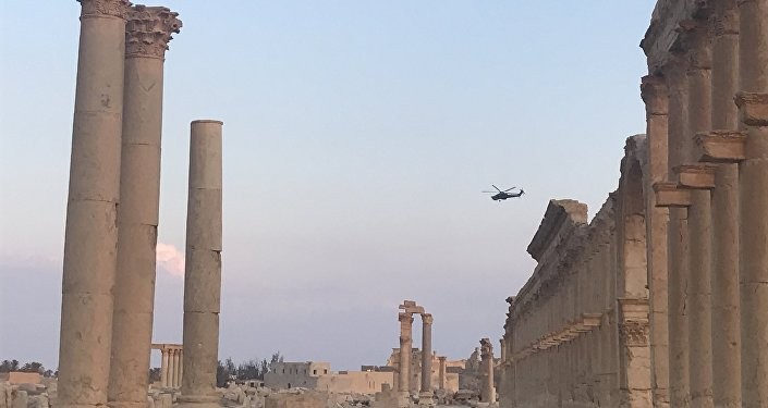 Syria: Thành cổ Palmyra sẵn sàng đón khách du lịch trở lại vào Hè 2019 ảnh 3