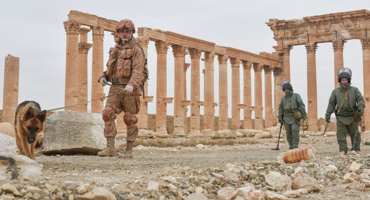 Syria: Thành cổ Palmyra sẵn sàng đón khách du lịch trở lại vào Hè 2019 ảnh 2
